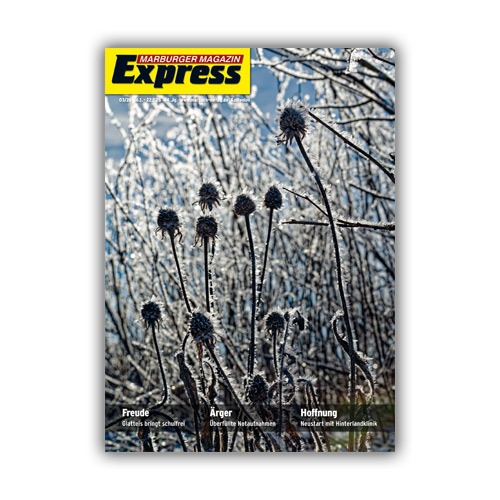 Cover Express 3/2026