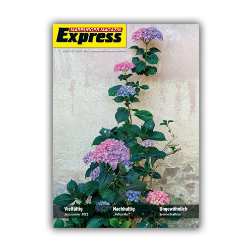 Cover Express 31/2025