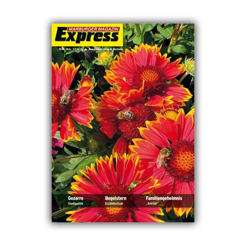 Cover Express 35/2026