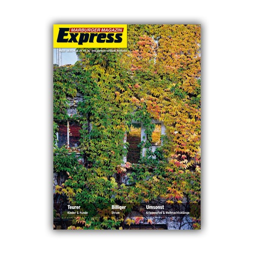 Cover Express 48/2025