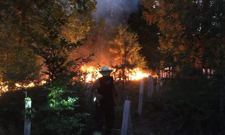 Mit „Wasserbombern“ gegen Brände