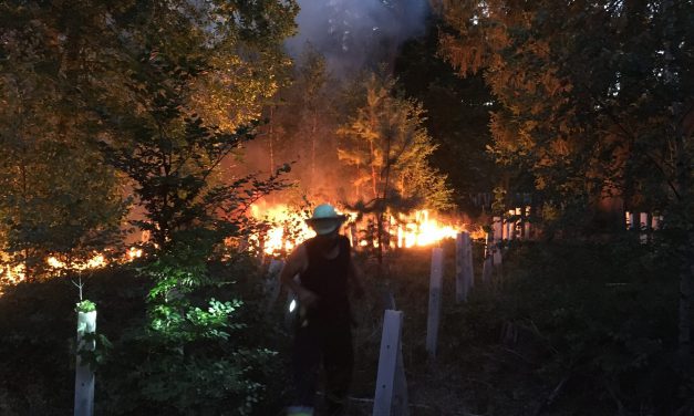 Mit „Wasserbombern“ gegen Brände