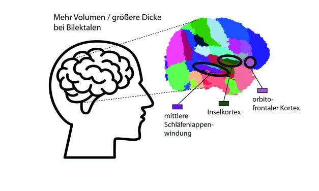 Dialekt trainiert Gehirn