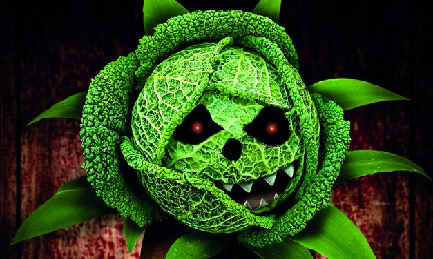 „Der kleine Horrorladen“