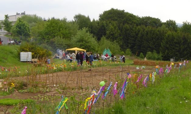 Sommerpicknick am Stadtwald