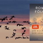 Familienroman aus Norddeutschland
