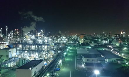 Glühwürmchen auf dem Rückzug