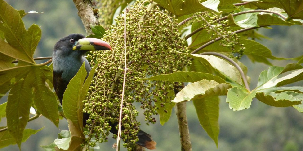 Ökosysteme verstehen, Arten schützen