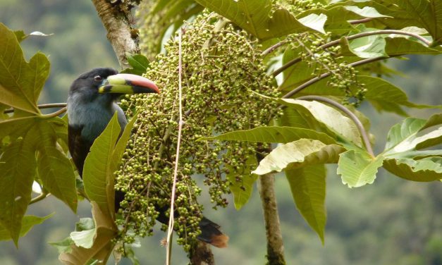 Ökosysteme verstehen, Arten schützen