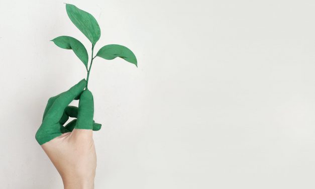 Marburg-Biedenkopf ist „Global Nachhaltige Kommune“