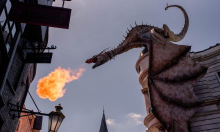Drachenfest