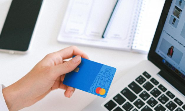 Fake-Shops und „pay later“