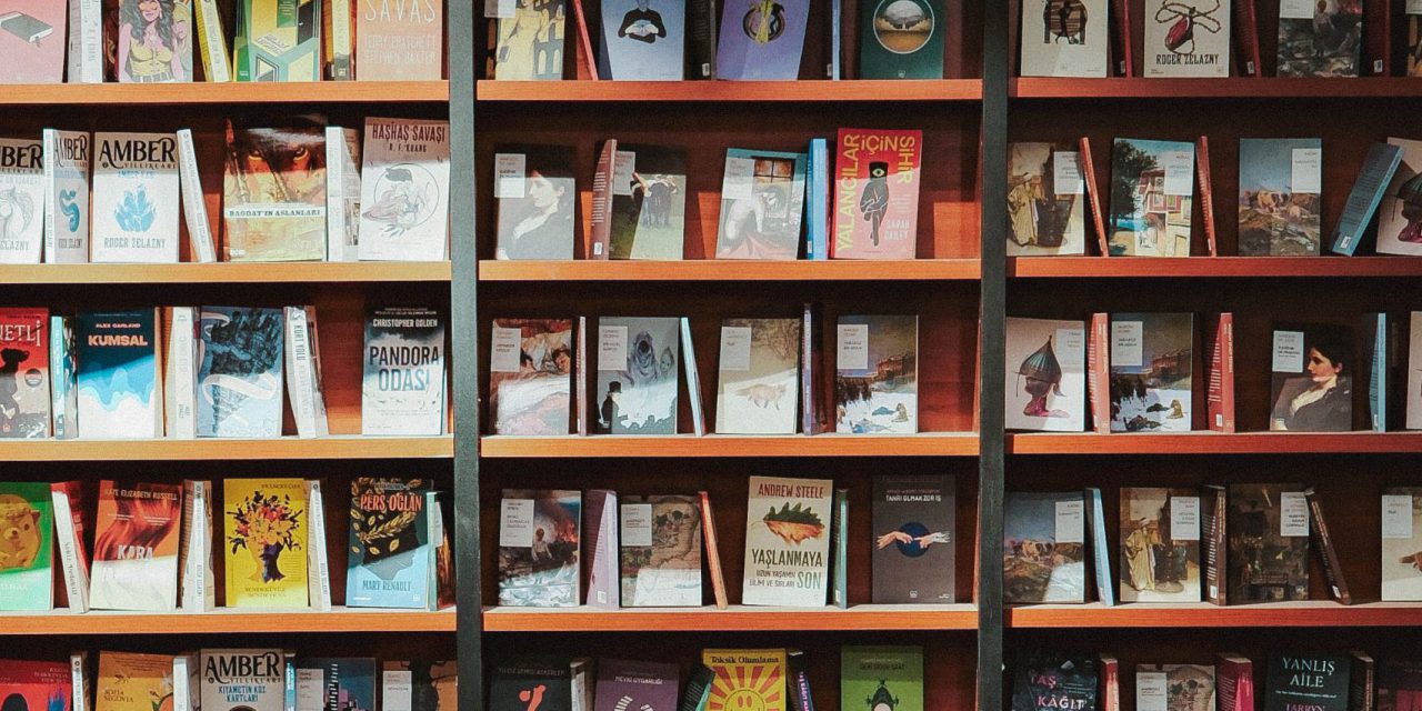 Kathrin Brömse: Bücher