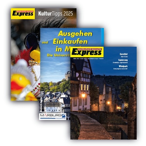 Publikationen 13/2026