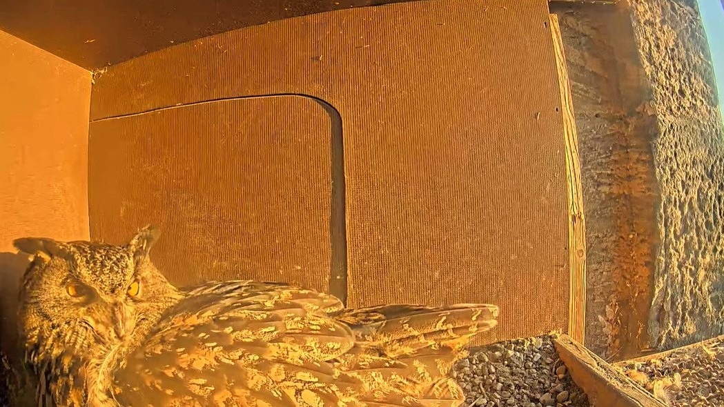 Wenn Lisbeth nach „Hu-hu-go“ ruft